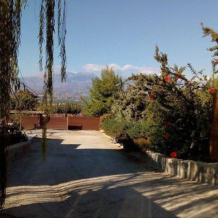 Гостьовий будинок House Veggera - Private Swimming Pool Pombia Екстер'єр фото